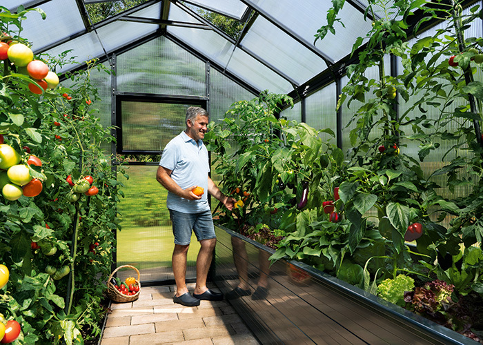 Modell VARIUS SOLV55