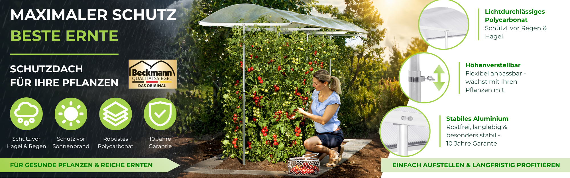 Banner_Pflanzenschutzdach