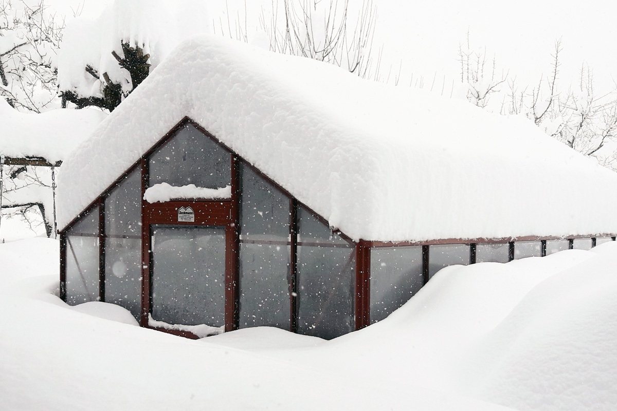 Gewchshaus im Winter
