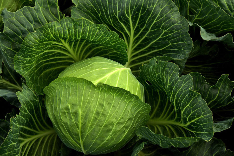 Kohl