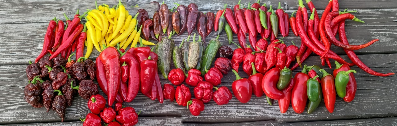 chili vielfalt