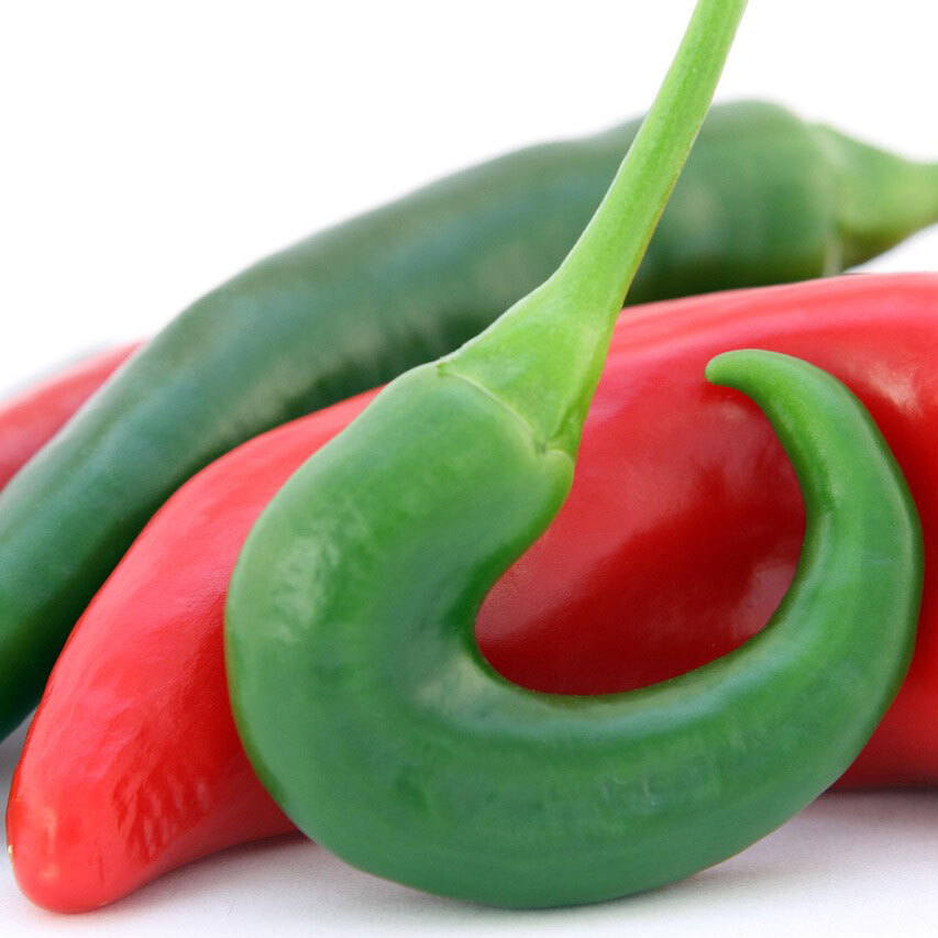 Chili Jalapeno