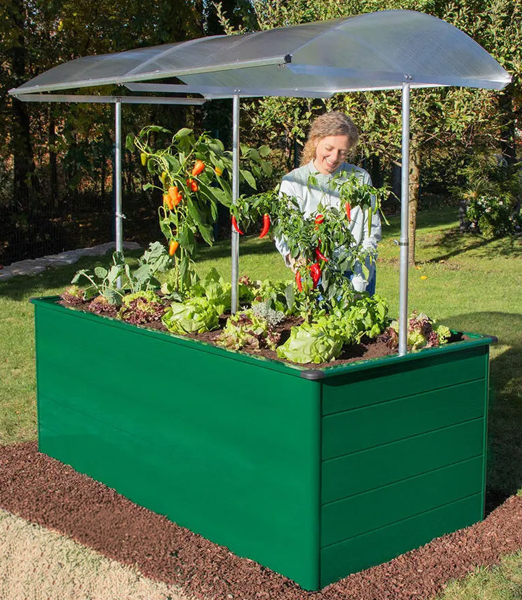 Paprika im Hochbeet Erntewunder