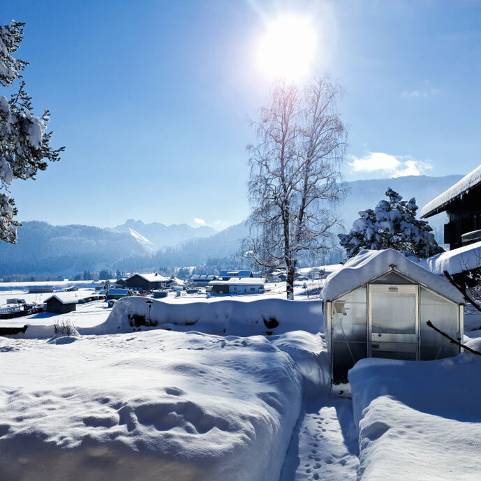 Gewchshaus im Winter