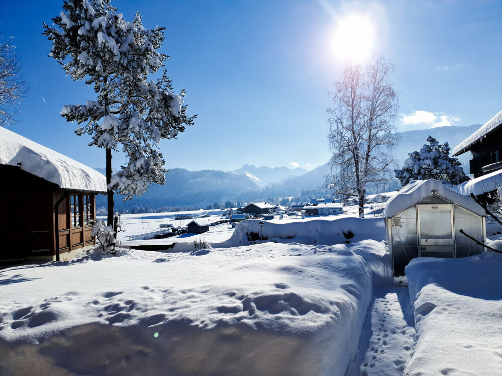 Gewchshaus im Winter