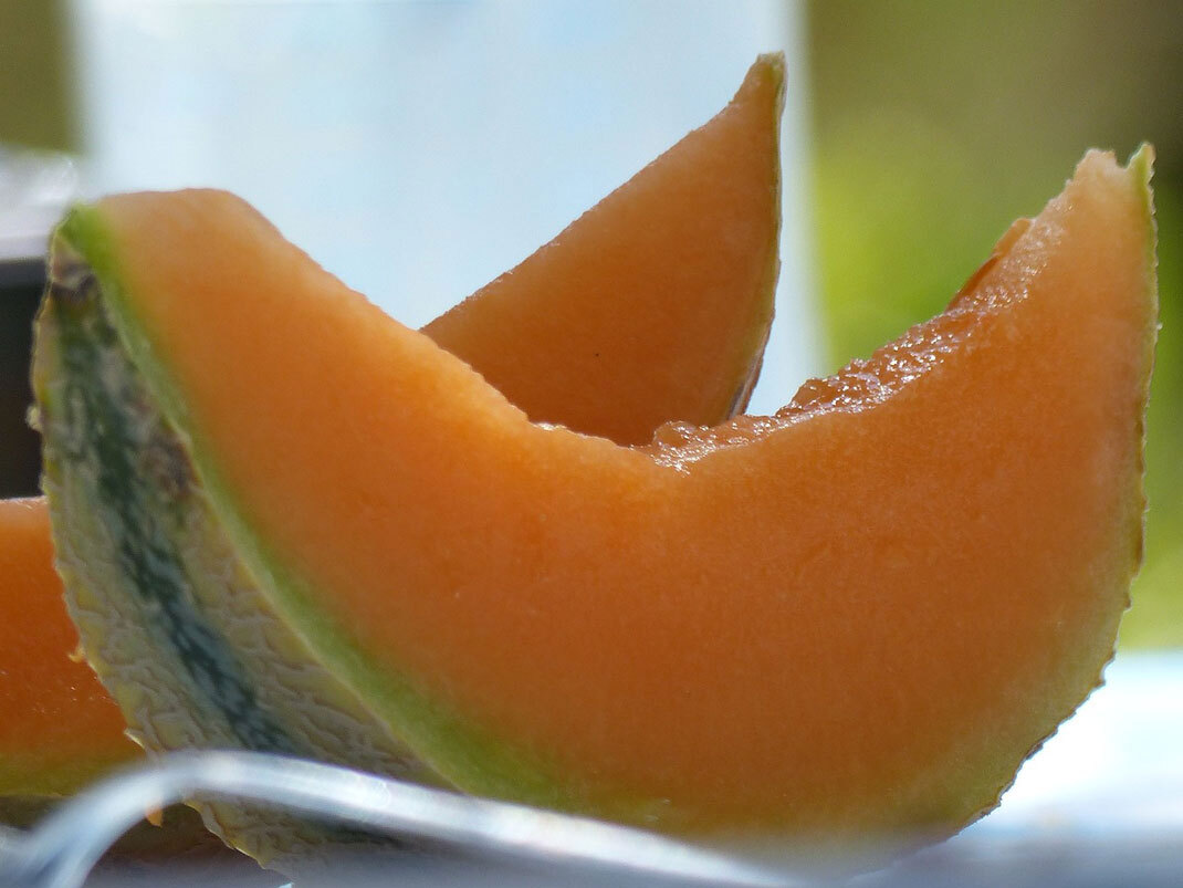 Melonen