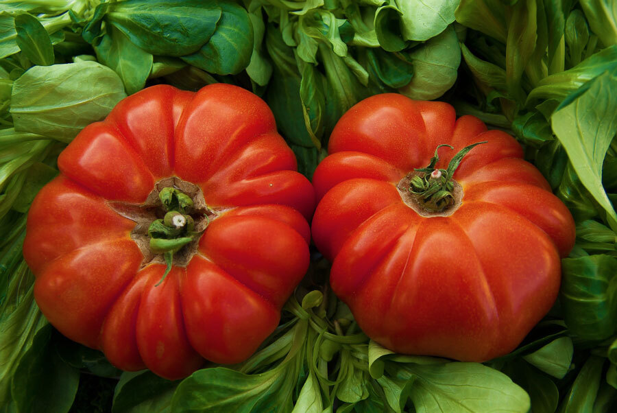 Fleischtomaten