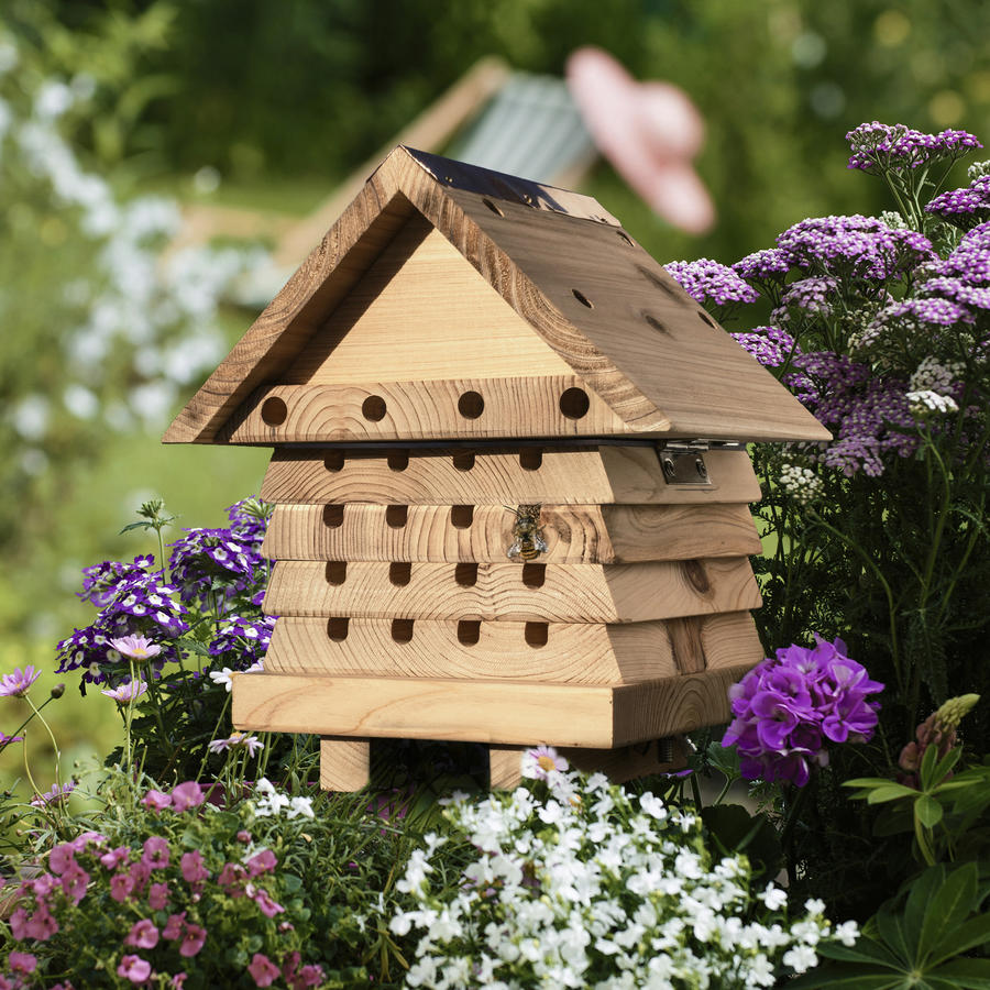   Wildbienen-Haus