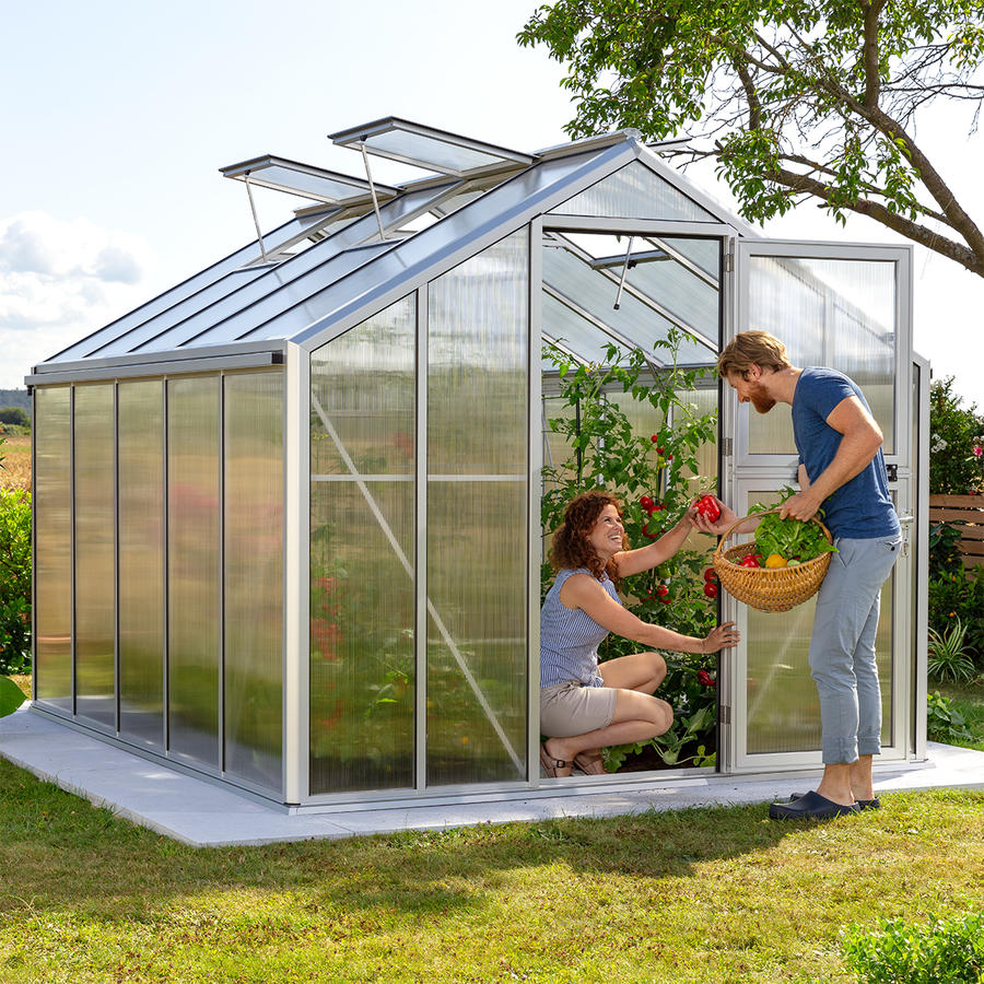 Gewchshaus Typ Solanum Modell SOLM25  256 x 319 cm