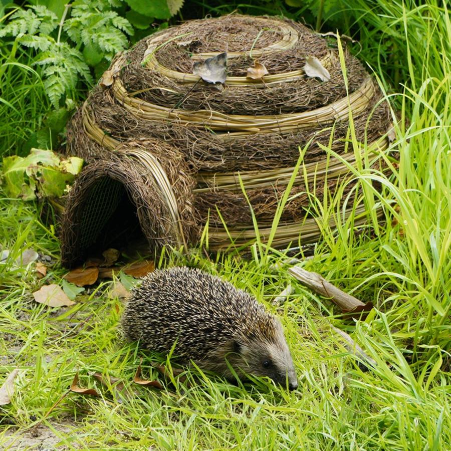 Igel-Schutzhaus - Beckmann GmbH &amp; Co. KG