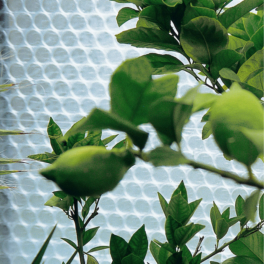 Isolierset f�r Gew�chshaus Modell SOLV53