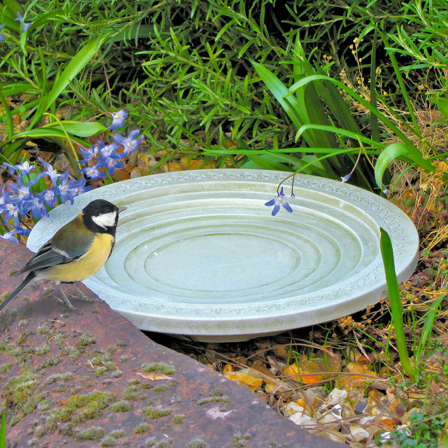 Vogeltrnke