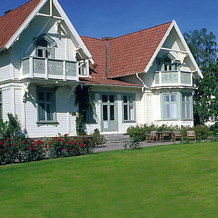 Wunder-Rasensamen 1 kg für ca. 40 m²