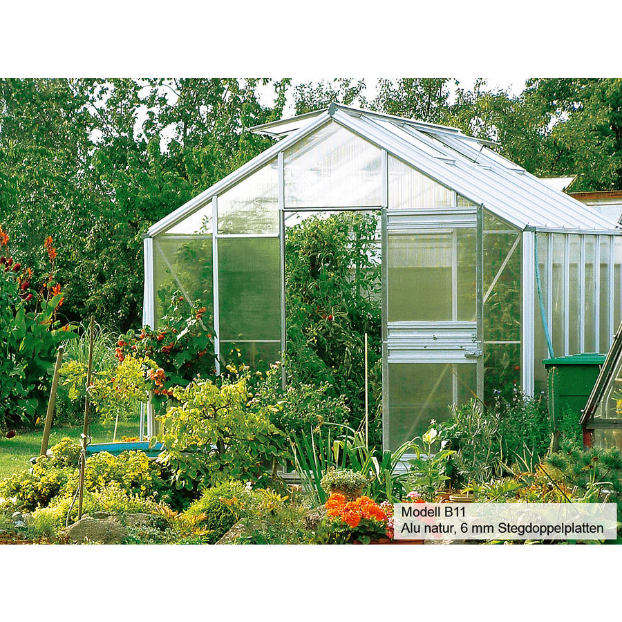 Gewchshaus Typ Allgu Modell B9  285 x 319 cm