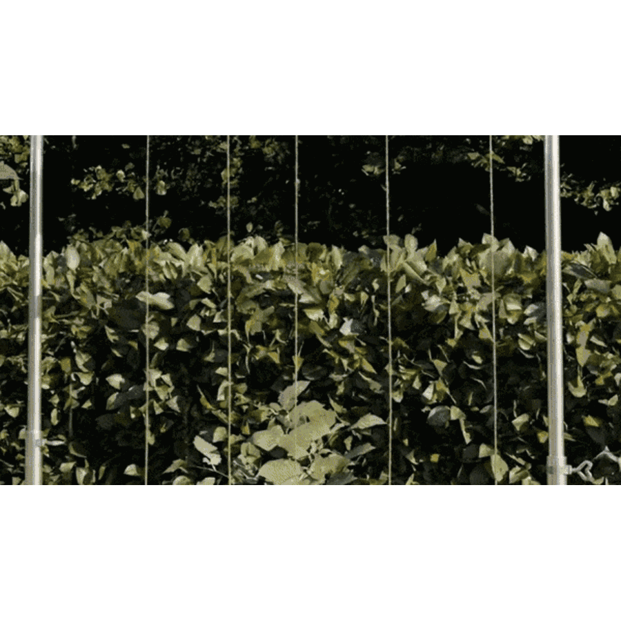 Rankrohr f�r Schutzd�cher