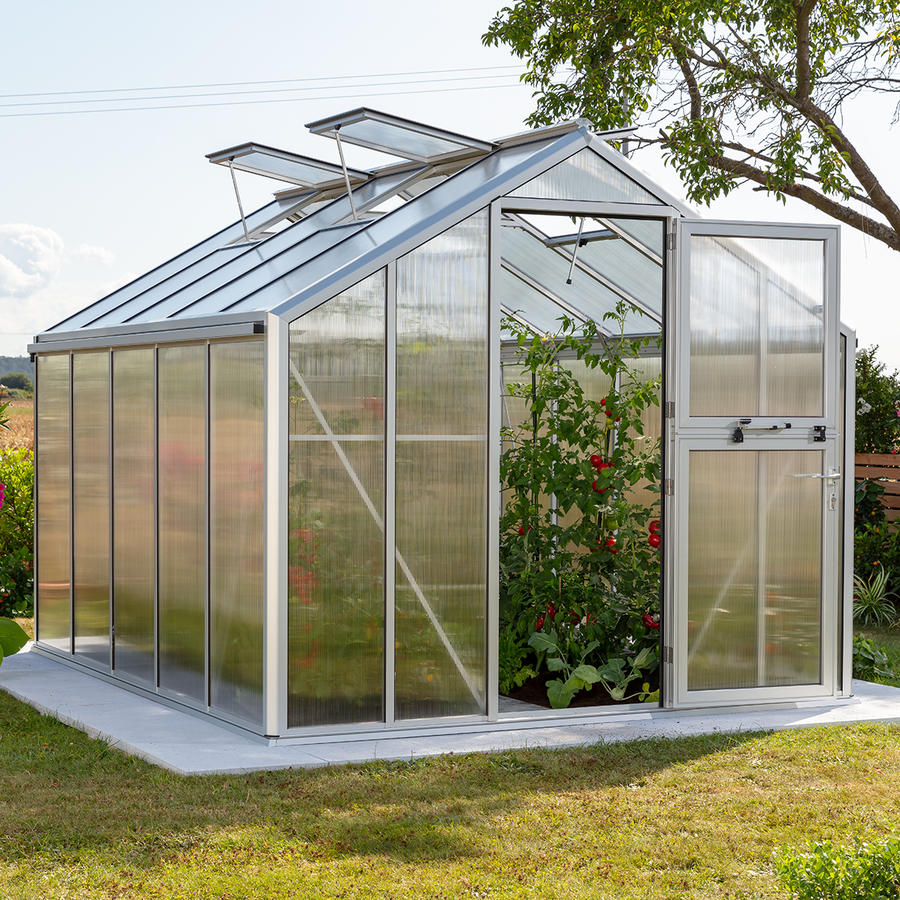 Gewchshaus Typ Solanum Modell Classic SOLM25  256 x 319 cm