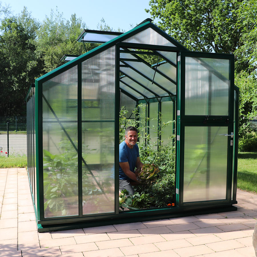 Gewchshaus Typ Solanum Modell SOLM26  256 x 381 cm