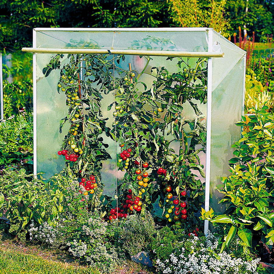 Tomatenhaus Größe 1 150 cm x 60 cm - Tomatenhaus ...