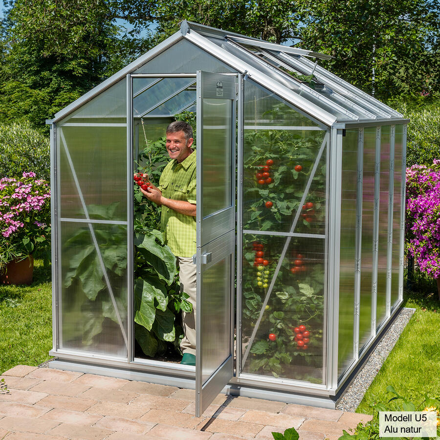 Gewchshaus Typ Allgu Modell U4  200 x 196 cm