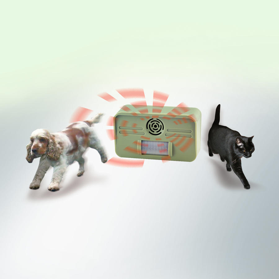 Ultraschall-Hunde- und Katzenschreck