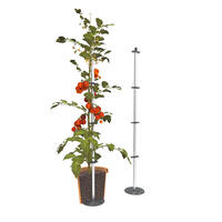 Tomaten-Rankhilfe