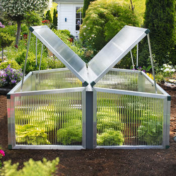 Frhbeet Typ Allgu Modell 4  Gre 2: 123 x 136 cm, 16 mm  Polycarbonat