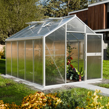Gewchshaus Typ Solanum Modell Pro SOLL45  285 x 362 cm