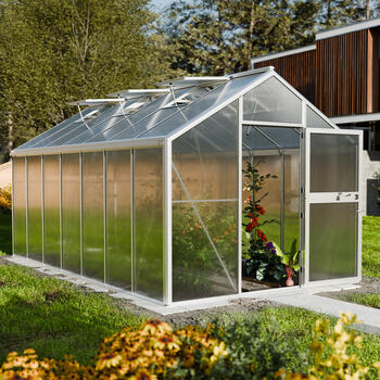 Gewchshaus Typ Solanum Modell Pro SOLL47  285 x 503 cm