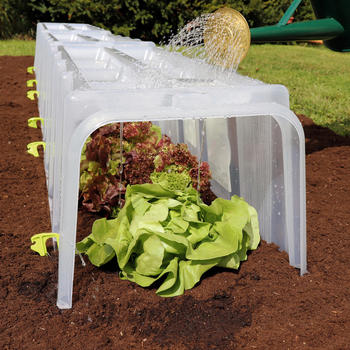 Pflanz-Tunnel Größe 1 3er-Set