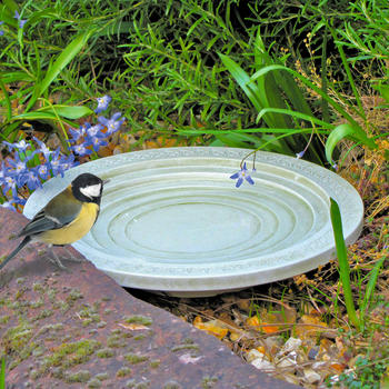 Vogeltrnke