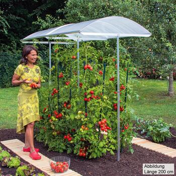 Tomatendach » BeckmannKG Produkte